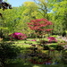 Japanese garden by pyrrhula