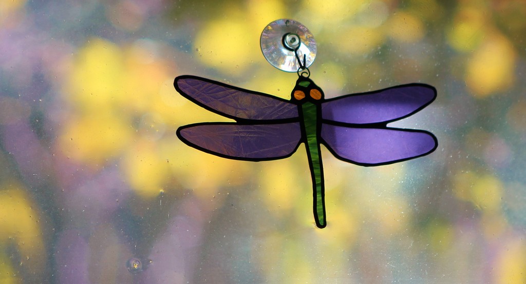 Dragonfly by edorreandresen