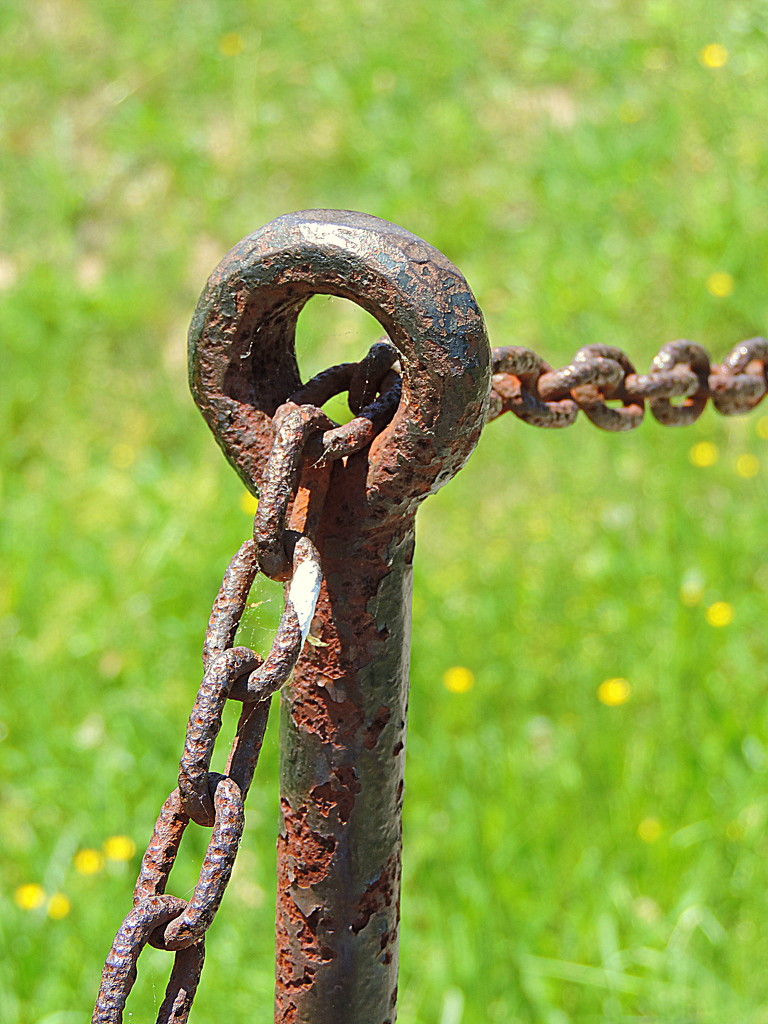 Gloriously Rusty Chain! by homeschoolmom