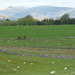 view by shirleybankfarm