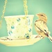 Would You Care for Some Tea?  by mhei