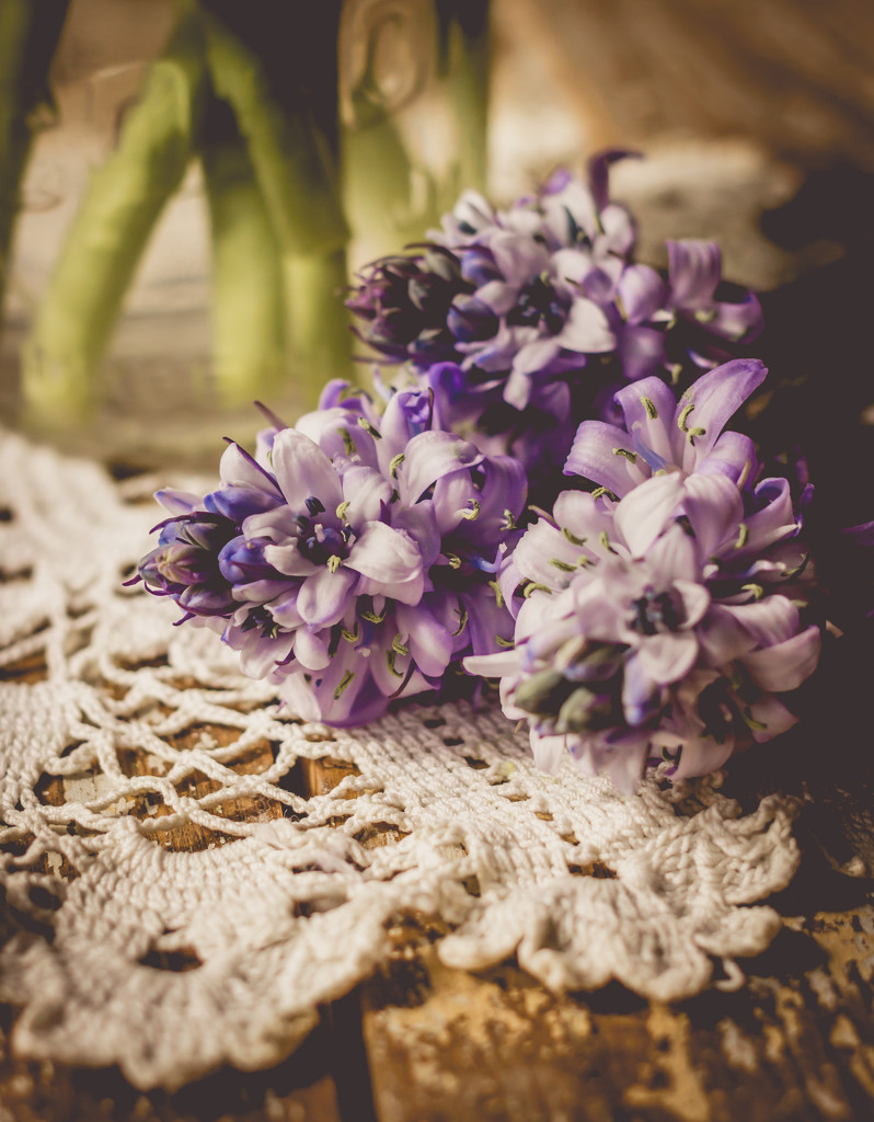 Doily and Flowers by tracymeurs