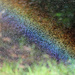 DIY rainbow by ingrid01