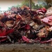 last of the Autumn leaves by cruiser