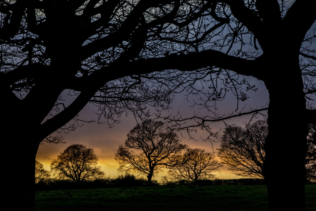 Yorkshire sunset by shepherdman