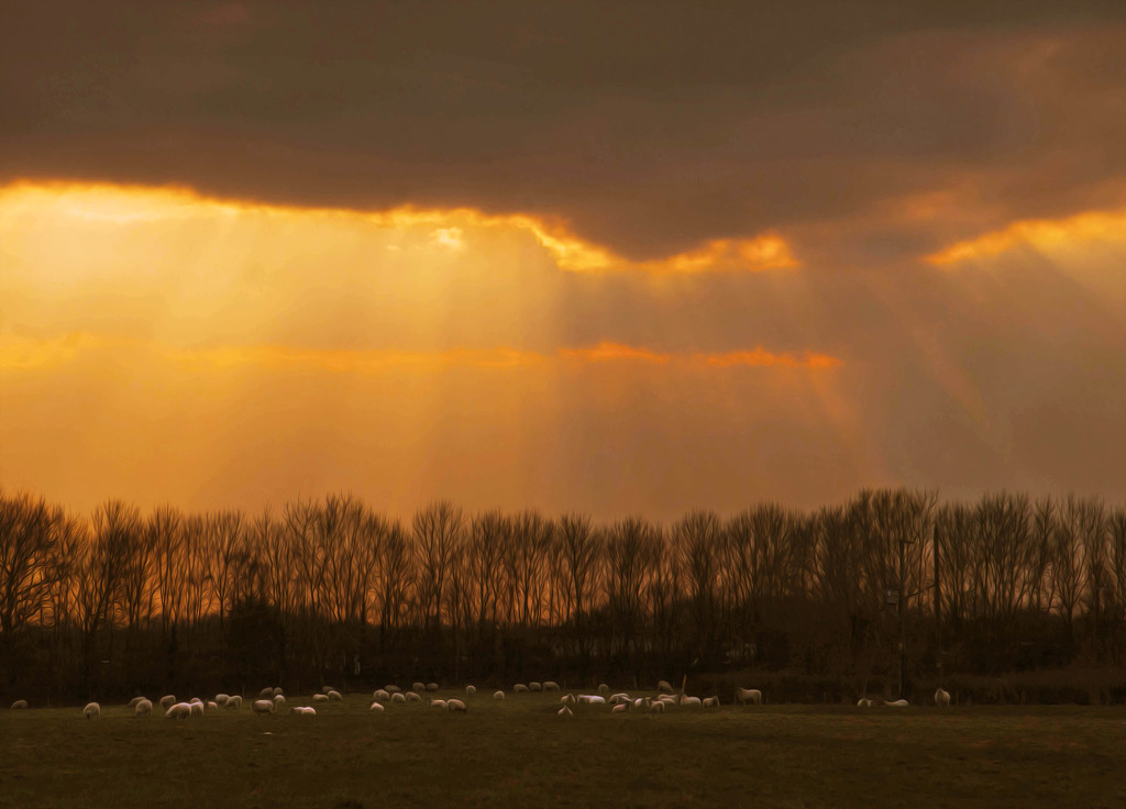 Heavens Light by shepherdmanswife