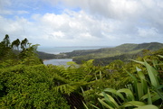 16th May 2015 - Waitakere Ranges on the West Coast NZ