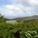 Waitakere Ranges on the West Coast NZ by ziggy77