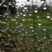Can't See the Web for the Raindrops by milaniet