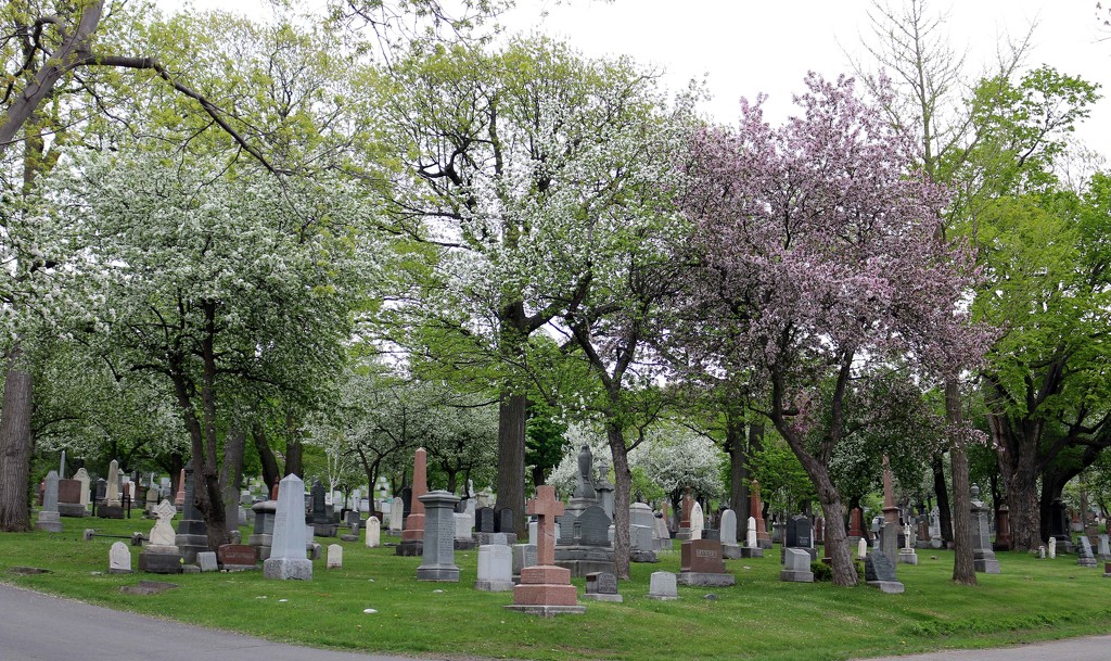 Cemetery tour  by hellie