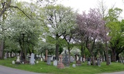 15th May 2015 - Cemetery tour 