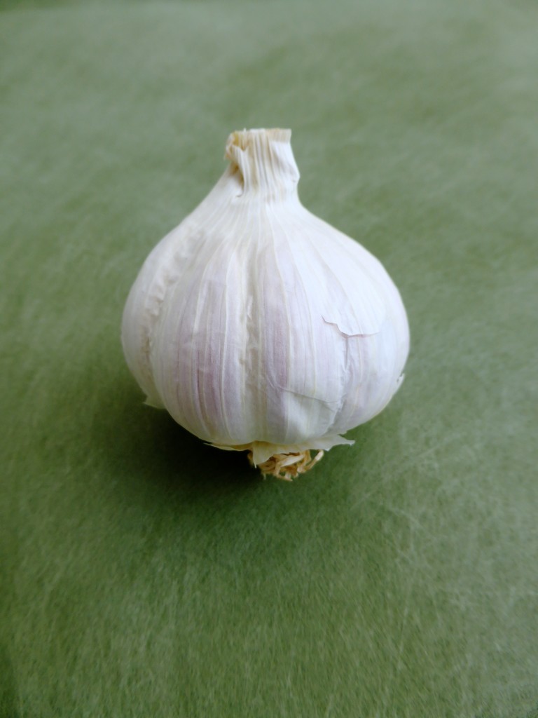 Garlic by kjarn