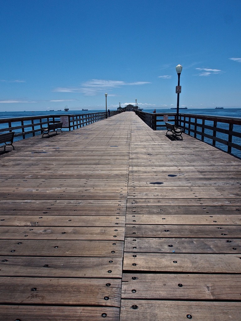 A Long View of the Pier by redy4et