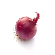 20th Apr 2015 - Onion