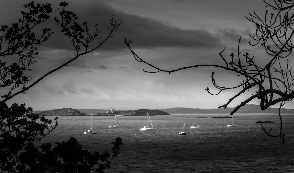 Yachts between the showers by frequentframes