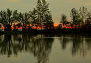 15th May 2015 - Sunrise on 'Swan Lake"