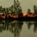Sunrise on 'Swan Lake" by jayberg