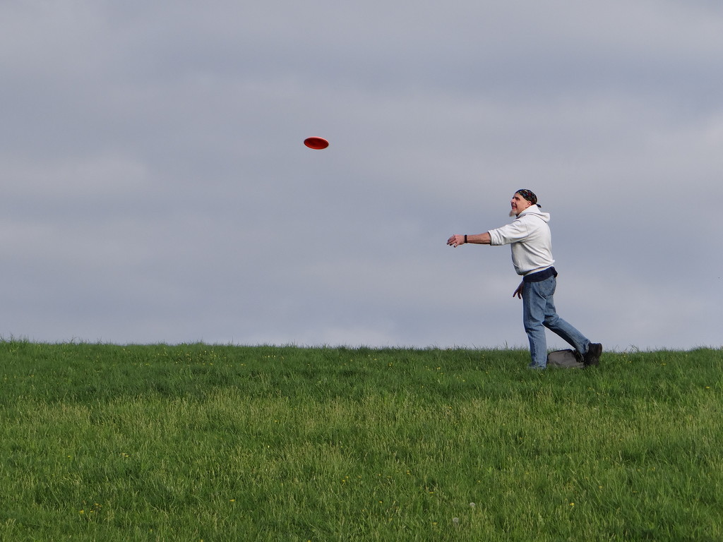 Rollie Letting the Disc Rip by brillomick