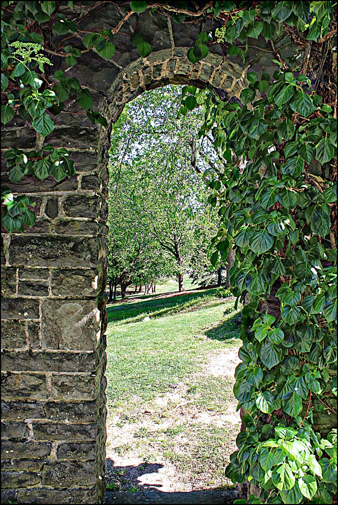 Through the Garden Wall by olivetreeann