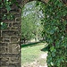 Through the Garden Wall by olivetreeann
