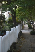 18th May 2015 - Picket fence, historic district, Charleston, SC