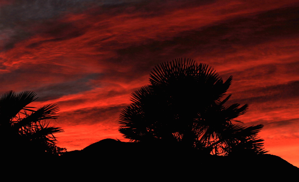 Flaming red skies by kiwinanna