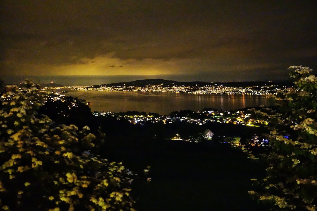 Zurich lake by night.  by cocobella