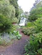 15th May 2015 - Up the garden path 