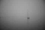 18th May 2015 - Fog Enshrouded