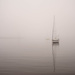 Fog Enshrouded ii by tosee