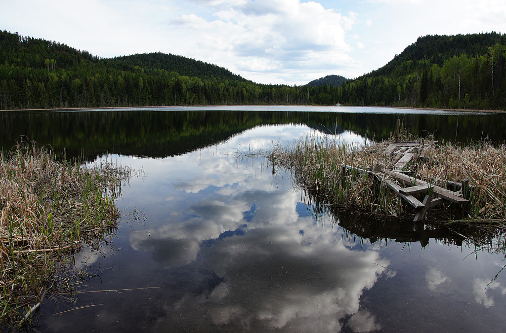 Wilgress Lake by jawere