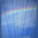 Raibow lines by dide