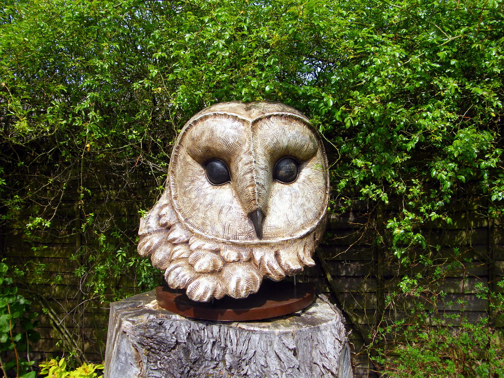 Owl by jeff