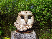 18th May 2015 - Owl
