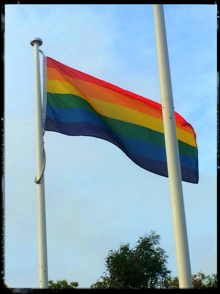 Rainbow flag #2 by alia_801