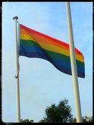 19th May 2015 - Rainbow flag #2