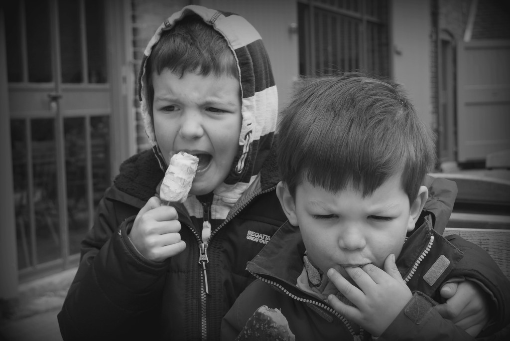 The serious business of ice cream eating.... by newbank