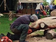 16th May 2015 - Crazy Chainsaw Action!
