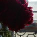 Peonies bouquet by parisouailleurs