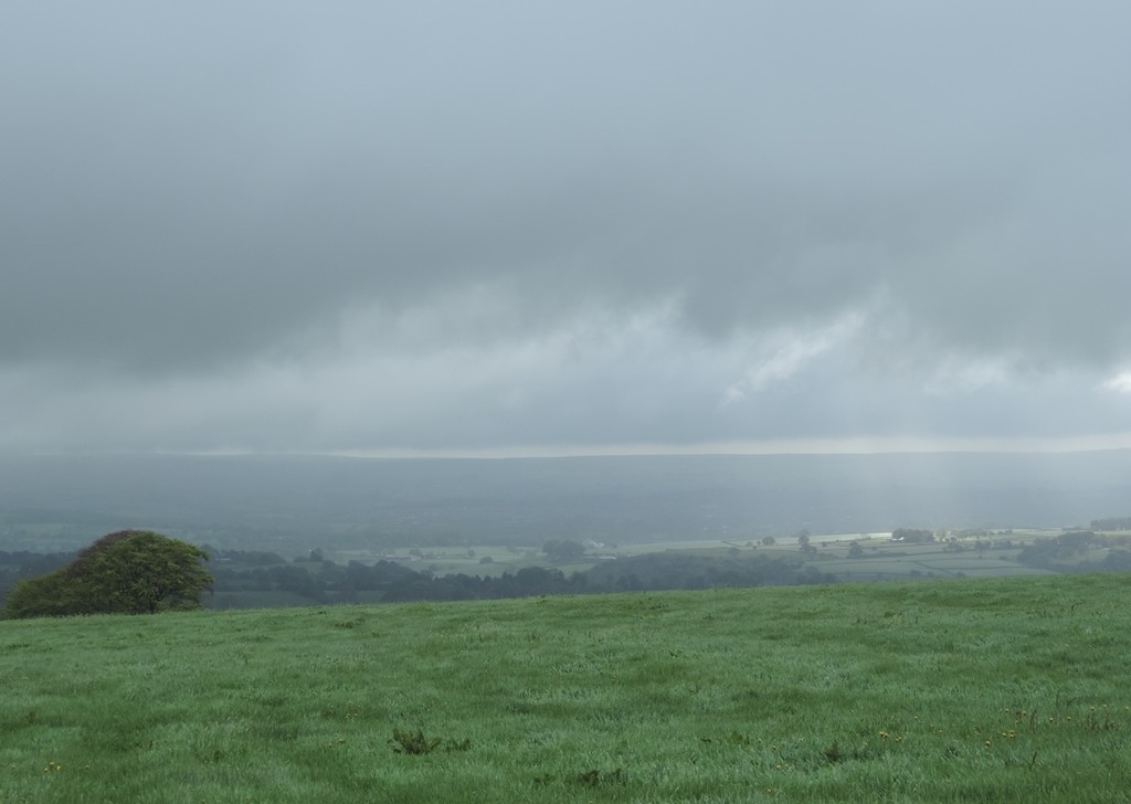 Sunlight through rain by roachling