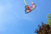 20th May 2015 - Let's Go Fly A Kite