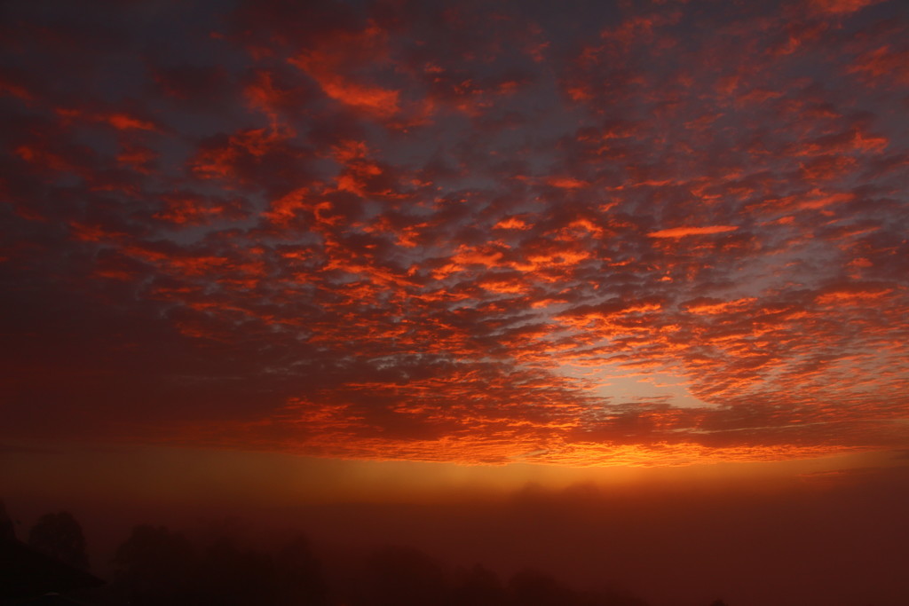 A Foggy Sunrise by terryliv