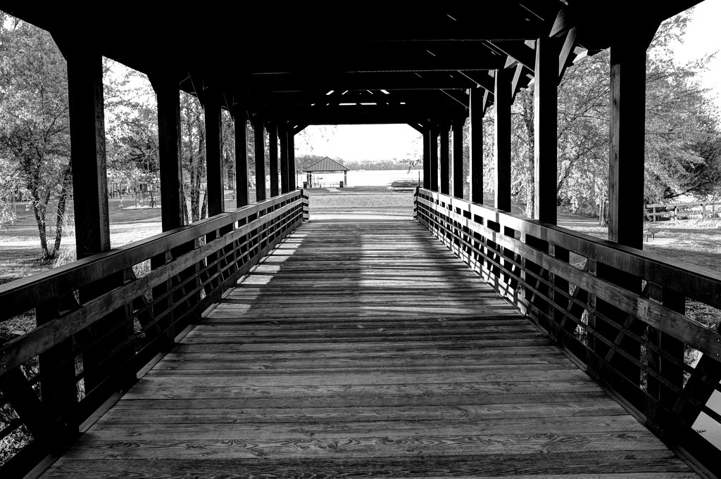 Bridge to the Park by tosee