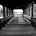 Bridge to the Park by tosee