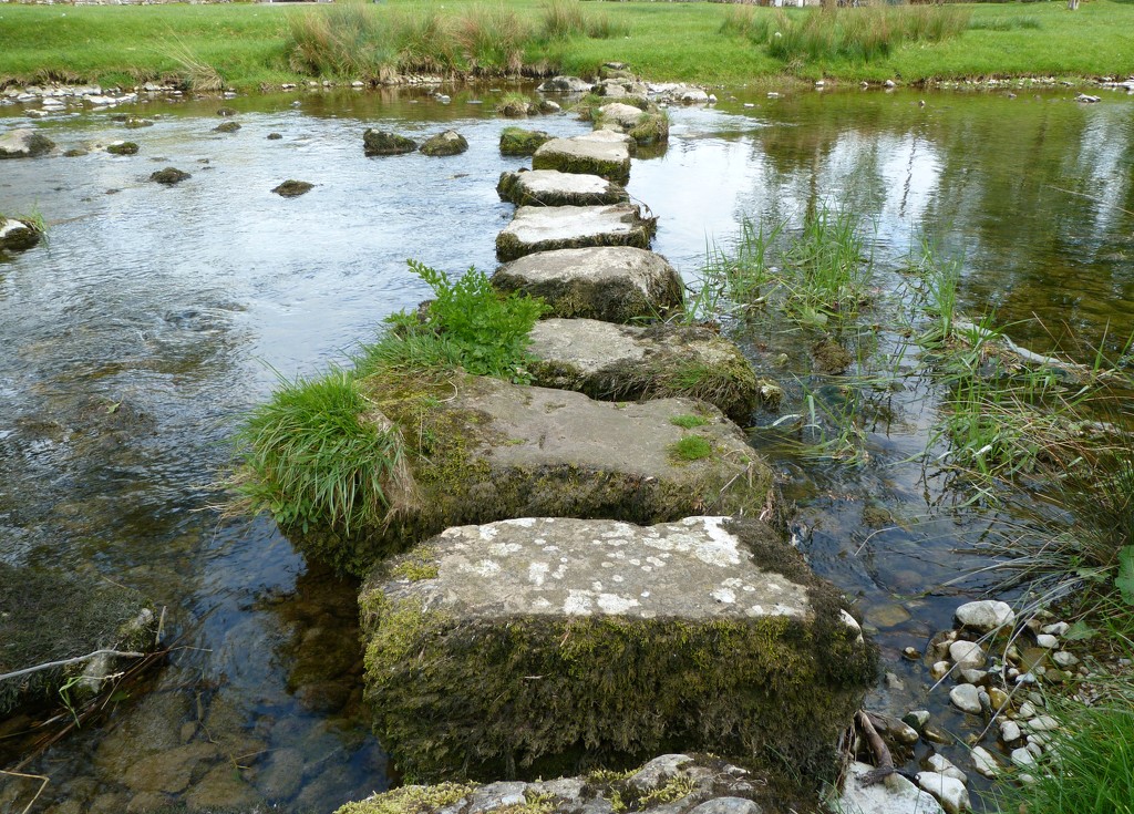Stepping stones by shirleybankfarm