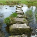 Stepping stones by shirleybankfarm