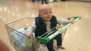 20th May 2015 - Asda be the cutest shopper in the supermarket 