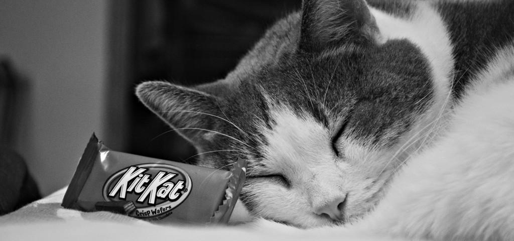 Kit Kat's Kit-Kat by mej2011