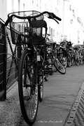 21st May 2015 - bicycles
