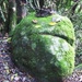 Mr Grumpy Rock. by happysnaps